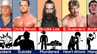 How WWE Wrestlers Died [upl. by Schulein425]