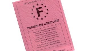 Permis de conduire comment conduire malgré la perte de son permis [upl. by Crim344]