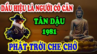 DẤU HIỆU VÀNG Tuổi Tân Dậu 1981 Là Người Có Căn Lành Được Phật Cho Lộc ĐỔI ĐỜI Giàu To [upl. by Floss]