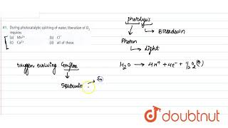 During photocatalytic splitting of water liberation of O2 requires [upl. by Shurwood923]