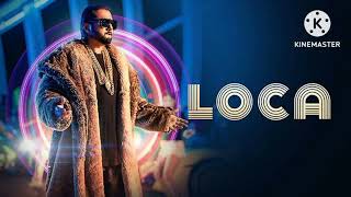 Loca Loca Slowed X Reverb lofi song  yoyo honey singh [upl. by Ayk]