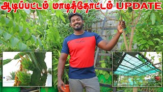 TERRACE GARDEN UPDATE  ABS STAND FULL SETUP  மாடித்தோட்டத்து புதுவரவுகள் [upl. by Anasiul24]