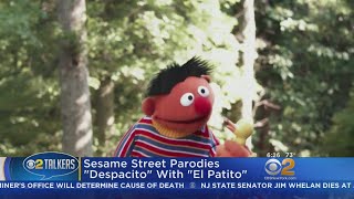 Sesame Street Parodies quotDespacitoquot With quotEl Patitoquot [upl. by Suivatram]