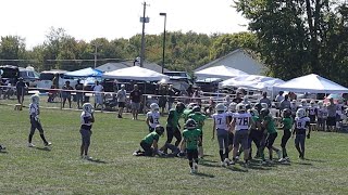 Brighton Twp Bears Vs Ambridge Bridgers Mighty Mites Sept 14th 2024 [upl. by Kendry]