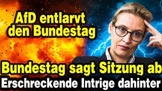 💥AfD deckt auf Warum Milliarden Euro nicht bei den Deutschen ankommen [upl. by Keavy846]