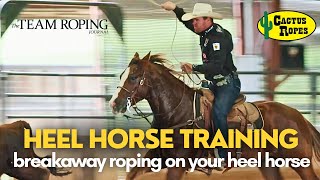 Rope Horse Training  Breakaway Roping on Your Heel Horse [upl. by Yliab32]