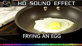 Egg Frying Sound Effect in a Pan 🔉🍳  HQ [upl. by Yrakaz]