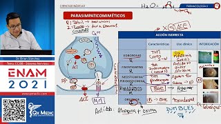 NERVIOSO Farmacología ENAM 2021 [upl. by Noelle]