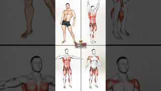 Fullbody workout at home for malesfitness shorts exercise workoutatworkoutatfitness beginners [upl. by Fugere795]