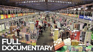 Giant Food Market Rungis Paris  Giant Hubs  Episode 5  Free Documentary [upl. by Annaer674]