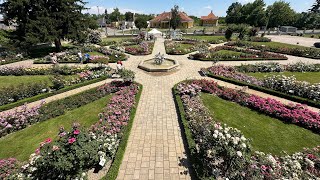 biggest ROSE GARDEN in HungaryMagyarország legnagyobb rózsakertje [upl. by Alver110]