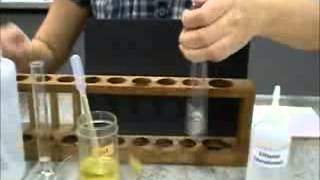 Ethanol Emulsion Test for Fats  A Level Biology [upl. by Kcirdnekal]