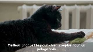 Meilleur croquette pour chien Zooplus pour un pelage sain [upl. by Dillie]