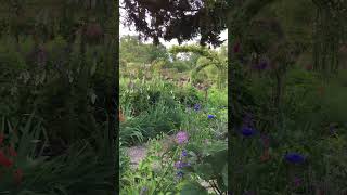 Unveiling the Secret Garden of the Master Monet Gardens in Giverny France [upl. by Jaymee546]