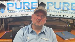 Pure Maintenance Mold Removal For Restoration Companies [upl. by Norit]