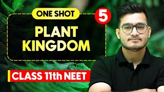 PLANT KINGDOM  Complete Chapter in One Video  ConceptsPYQs  Class 11th NEET [upl. by Emoraj107]