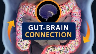 Gut  Brain Connection ted talk [upl. by Rockey]