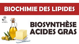 Biochimie des Lipides  Biosynthèse des acides gras [upl. by Sidnak]