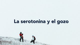 La serotonina y el gozo [upl. by Gonick]