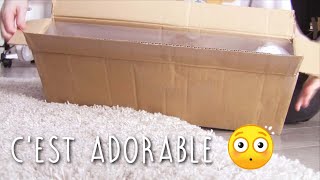 Unboxing Parabox   Anime doll avec mon copain [upl. by Ahslek857]