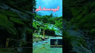 Nuwara wewataMusiczbro music newmusic livemusic newsong live shorts nature [upl. by Annabel]