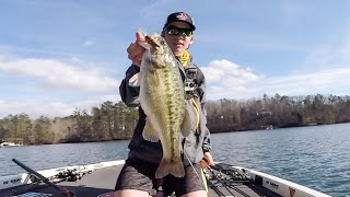 GIANT Lake Lanier SPOTS  Spro Rock Crawler [upl. by Perrine]