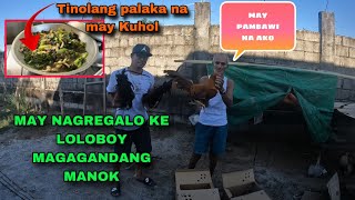 DI INAASANG REGALO KAY TATAY MANOK NA MAMAHALIN BREEDER [upl. by Airahcaz478]