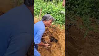 The process of digging underground wine tanks for aging [upl. by Grant]