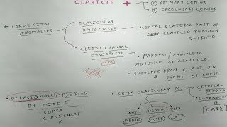 Clavicle Bone 3 Clinicals  TCML [upl. by Manda]