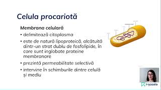 Biologie pentru Bacalaureat  Celula procariotă și celula eucariotă [upl. by Aenyl]