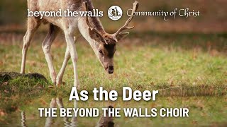 As the Deer  CCS 148  The Beyond the Walls Choir [upl. by Snyder]