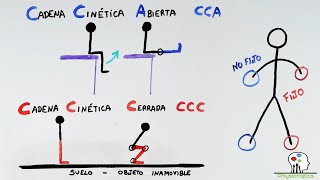 Cadena Cinética Abierta y Cerrada  Biomecánica [upl. by Aranat]