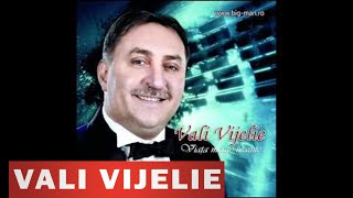 VALI VIJELIE  Un vagabond [upl. by Liberati]