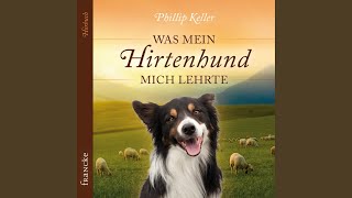 Kapitel 11  Was mein Hirtenhund mich lehrte [upl. by Bart285]