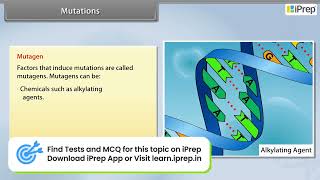 Mutations  Principles of Inheritance and Variation  Biology  Class 12th iPrep [upl. by Edmea]