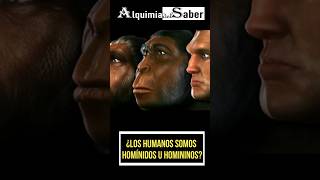 Los humanos somos homínidos u homininos  Alquimia del Saber  Sh62 prehistoria historia [upl. by Regan]