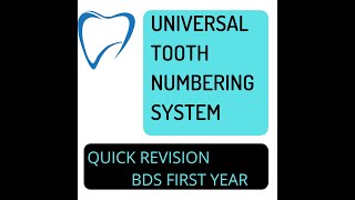 UNIVERSAL TOOTH NUMBERING SYSTEM I DENTAL ANATOMY I BDS FIRST YEAR I QUICK REVISION SERIES shorts [upl. by Sirrot]