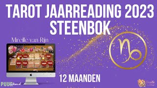 STEENBOK TAROT JAARLEGGING  VOORSPELLING 2023 DOOR MIREILLE VAN RIJN [upl. by Hannazus]