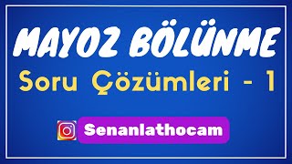 MAYOZ BÖLÜNME SORU ÇÖZÜMLERİ  1  ✅ [upl. by Eremahs]