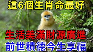 6個生肖，生而有福，生活美滿，財源廣進，子孫孝順，前世積德多，今生想清福 [upl. by Ahsanat]