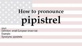 How to pronounce pipistrel  meaning [upl. by Noreik442]