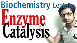 Enzyme catalysis mechanism biochemistry [upl. by Froh]