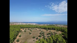 Land 28000 sqm Afitos Halkidiki for sale [upl. by Clarabelle823]