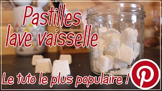 DIY  Je teste un tuto pinterest  les pastilles pour le lavevaisselle [upl. by Retsek]