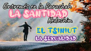 Entremés en la Parasha Kedoshim año 5782  La Santidad y la Sexualidad  More Luis [upl. by Rafi717]