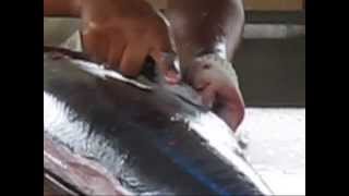 The Catching Cleaning and Cutting of a Big Fish [upl. by Pryor]