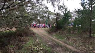 Mt Hayfield 2016 Short course starters [upl. by Aurthur661]