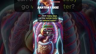 Anatomy quiz medical biology sciencequiz shortvideo [upl. by Rednav]