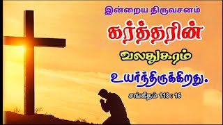 இன்றைய திரு வசனம்📓 Todays Gods word🙇 christiangospel godsword bible 🙏 [upl. by Eddana]