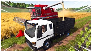 Its Harvest Season in Farming Simulator 25 [upl. by Persis146]